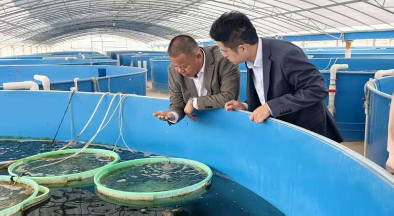  广西北部湾畔，金融活水涌动；海洋产业乘势而上，高质量发展步伐坚定。 新闻