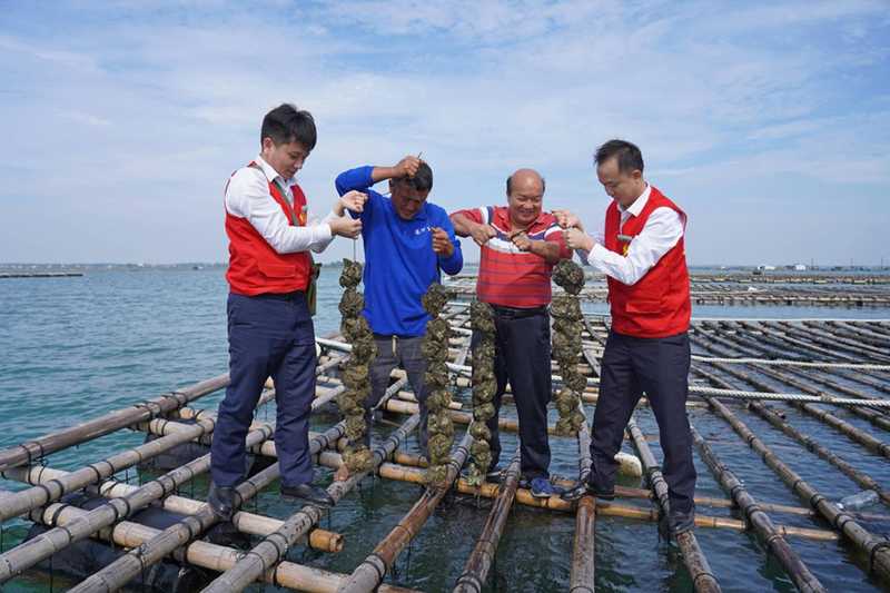  广西北部湾畔，金融活水涌动；海洋产业乘势而上，高质量发展步伐坚定。 新闻