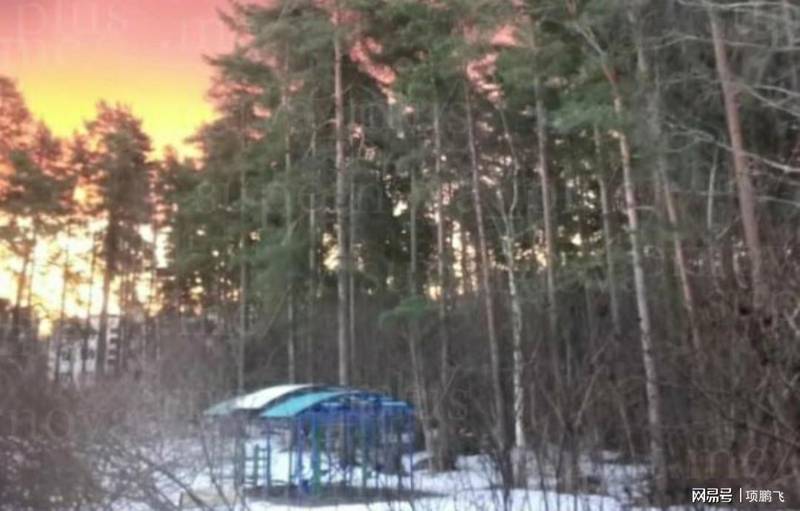  深层博弈揭秘：波罗的海能源枢纽背后的战略棋局 新闻