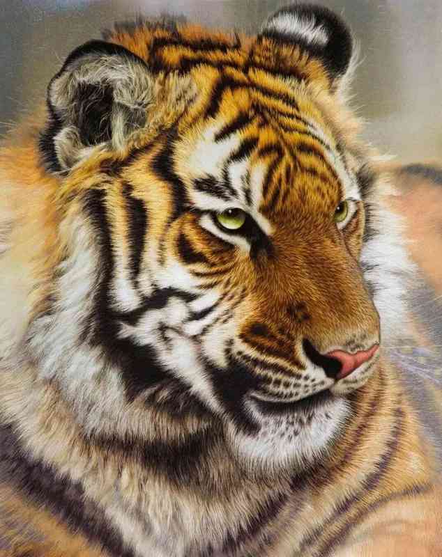  千年针线新风向：传统刺绣如何在现代美学中重塑商业价值 新闻