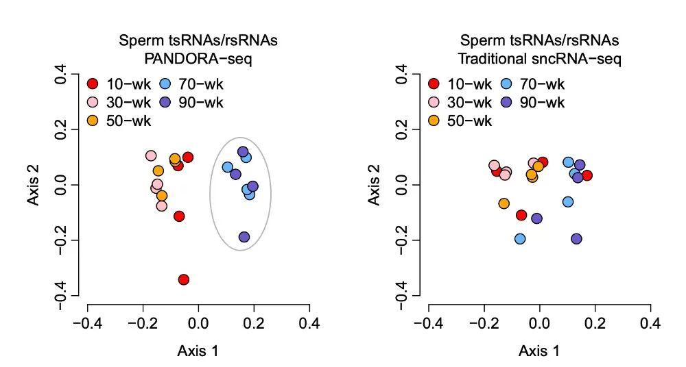  破解生育密码：精子RNA修饰与后代健康的深层关联 健康养生