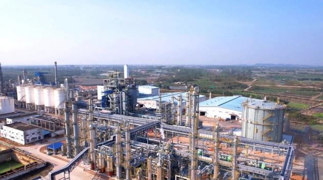  当152双眼睛注视上海：一座城市的承诺与担当 新闻