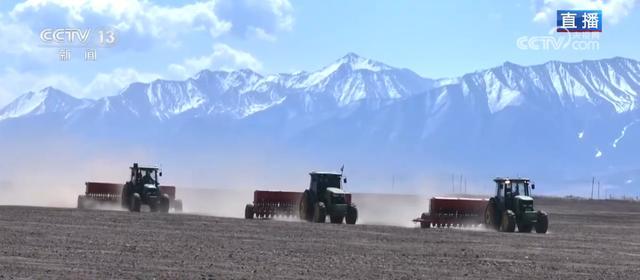  达坂山下的春播人：青稞田里的智慧与坚守 文化旅游