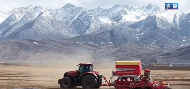  达坂山下的春播人：青稞田里的智慧与坚守 文化旅游