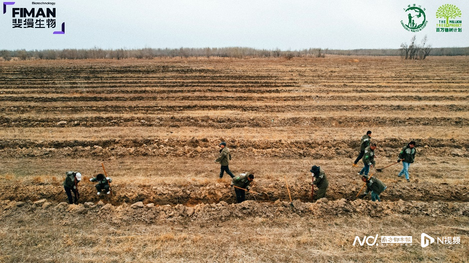 技术极客深度复盘：斐缦生物如何用2700棵树苗构建医美ESG实践方法论 企业服务
