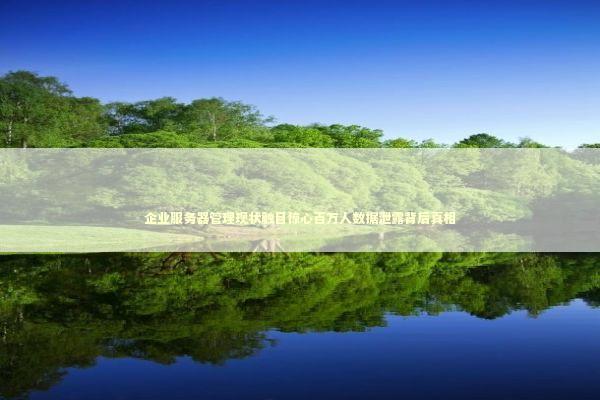 企业服务器管理现状触目惊心百万人数据泄露背后真相