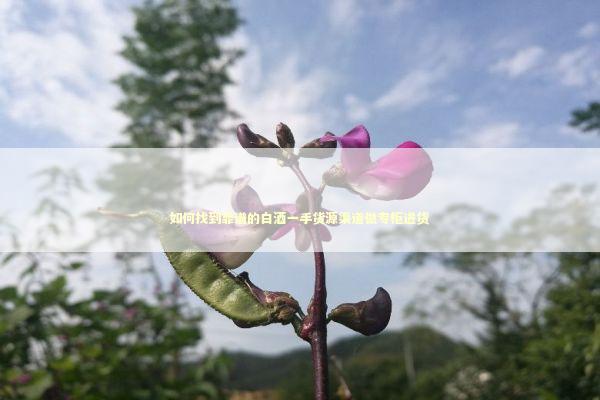 如何找到靠谱的白酒一手货源渠道做专柜进货 企业服务