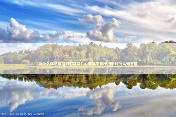 为什么你总是搜到假官网？心理学家揭秘搜索时的认知盲区 IT技术