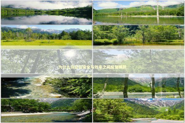 为什么你总在安全与效率之间反复横跳 IT技术