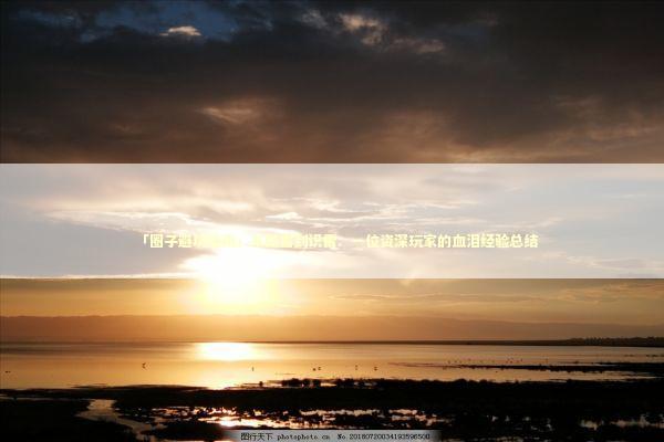 「圈子避坑指南」从踩雷到识雷：一位资深玩家的血泪经验总结 时尚用品