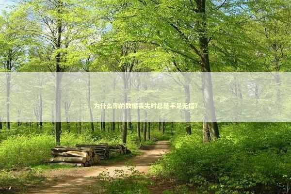 为什么你的数据丢失时总是手足无措？ IT技术