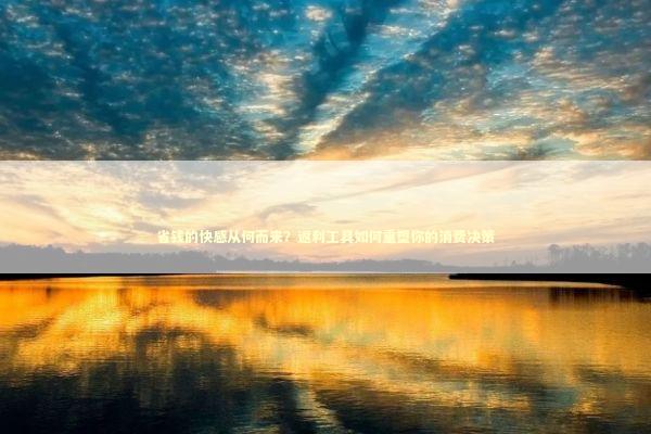 省钱的快感从何而来？返利工具如何重塑你的消费决策 IT技术