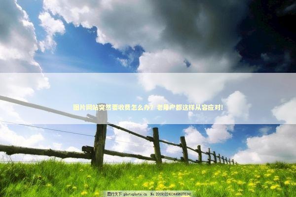 图片网站突然要收费怎么办？老用户都这样从容应对！ IT技术